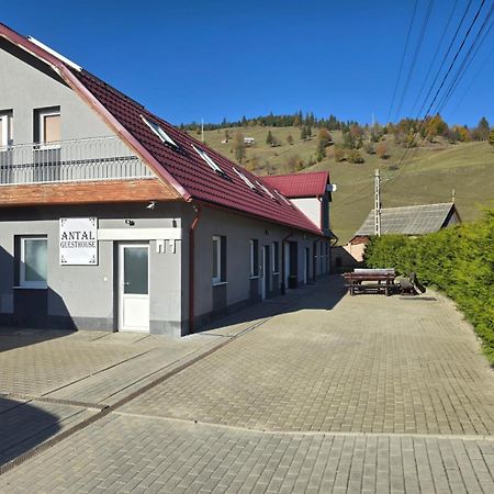 Antal Guesthouse Ghimeş-Făget المظهر الخارجي الصورة